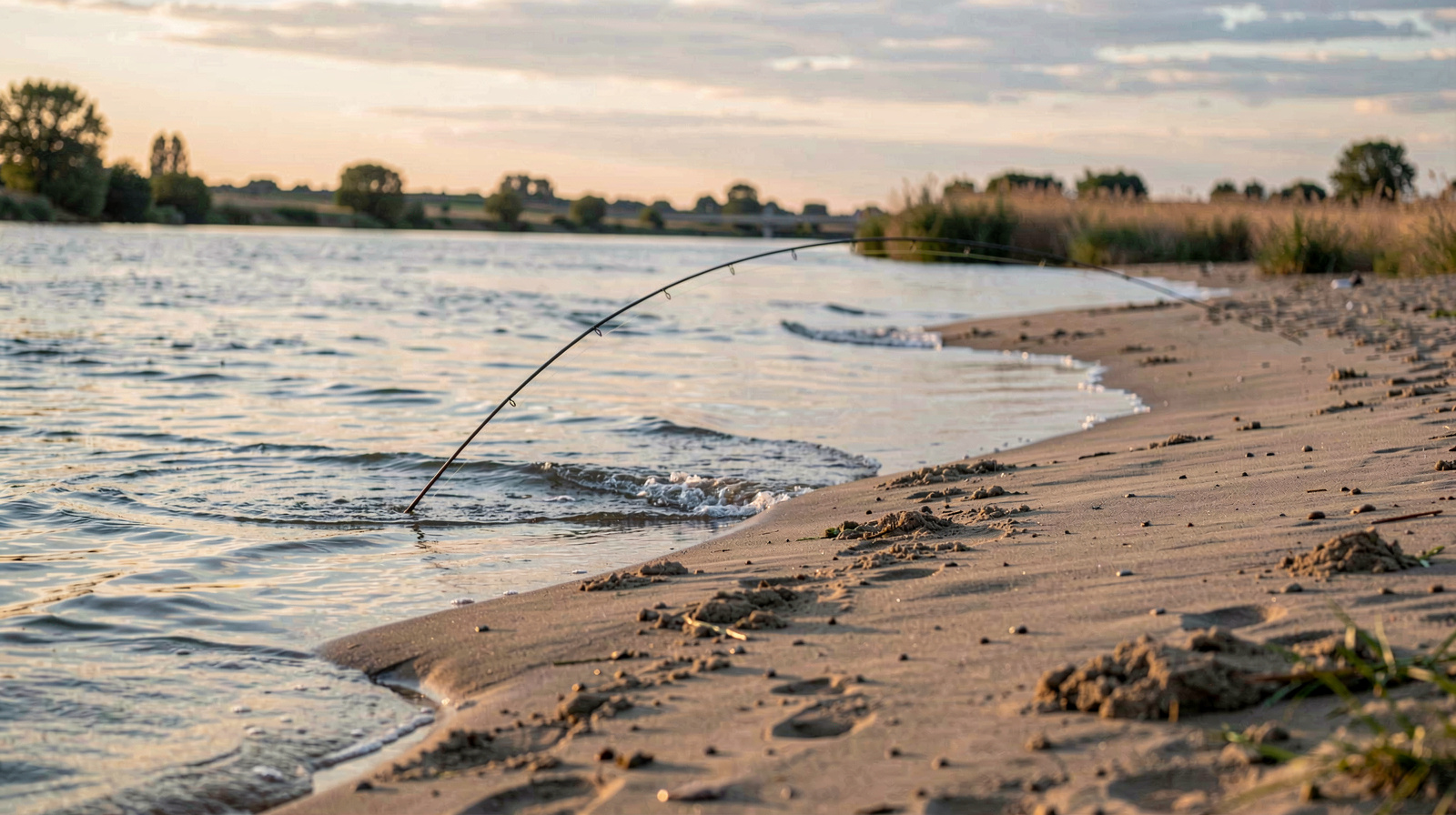 A sandbar on the Loire at first light, with a fishing rod bending downstream and a calm current vein reflecting the sky, framed from the bank.